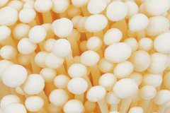 食用菌冷庫(kù)工程改造需要注意的三點(diǎn)