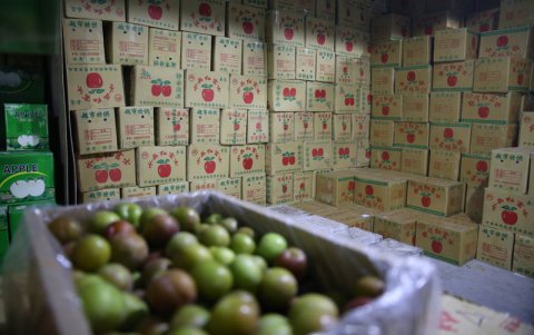 恒溫倉(cāng)庫(kù)的使用目的和操作說(shuō)明